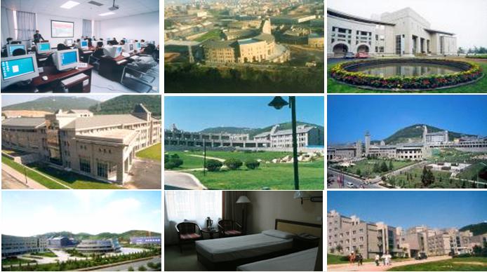 【暑期培训】大连东软信息学院2009年暑期师资培训图片