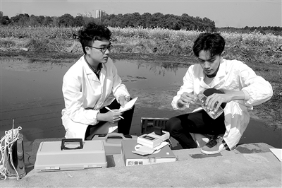 384042_zhangp_1489997454590_b.jpg