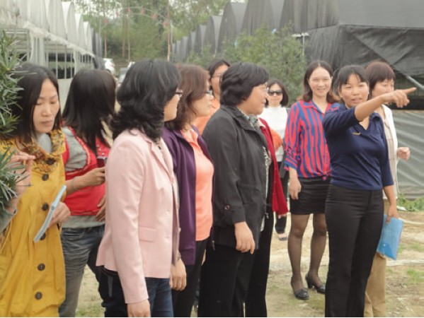 广东科贸职业学院:自主创业毕业生黄海燕当选十二届全国人大代表