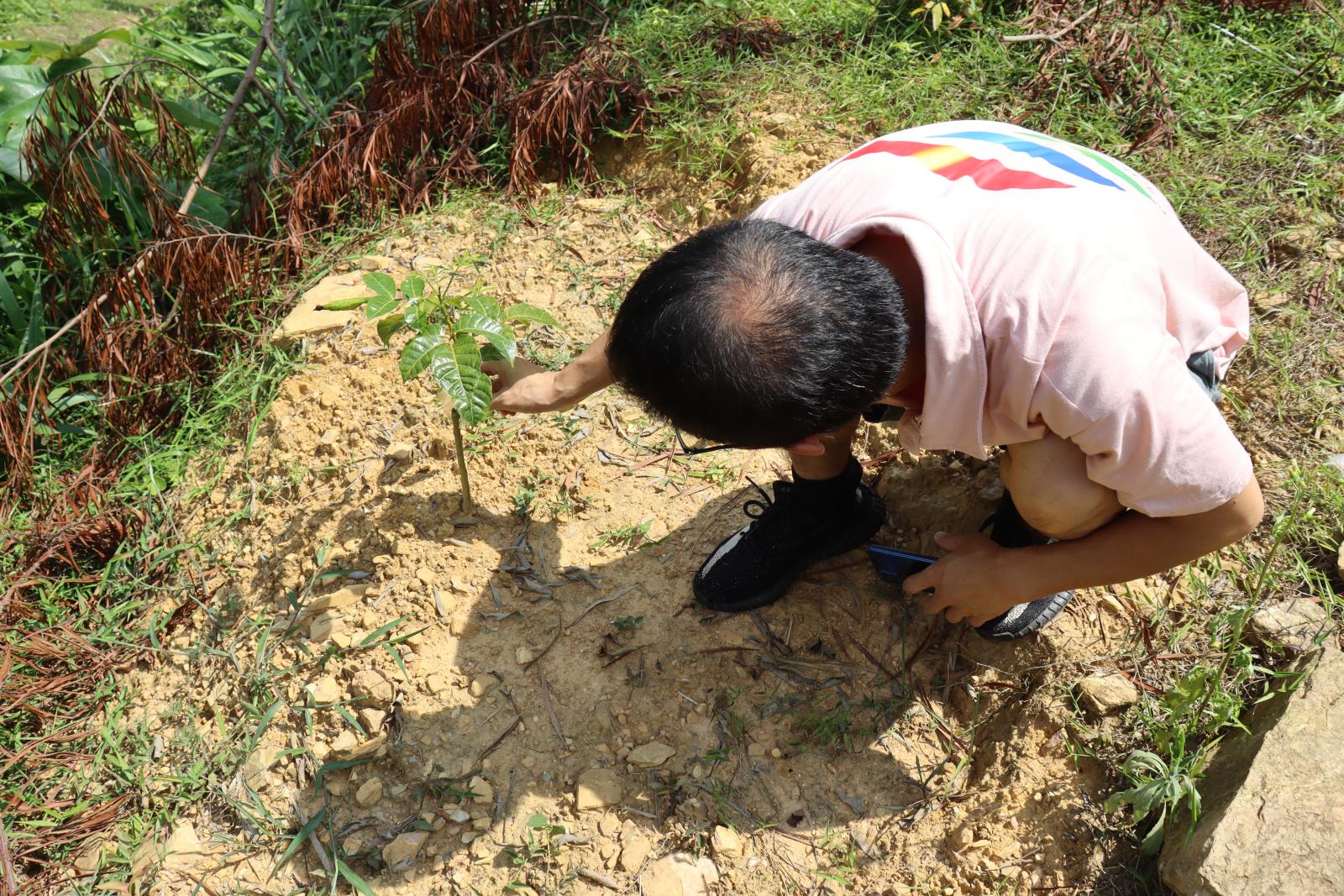 3-走访乌榄种植基地征集科技需求.JPG